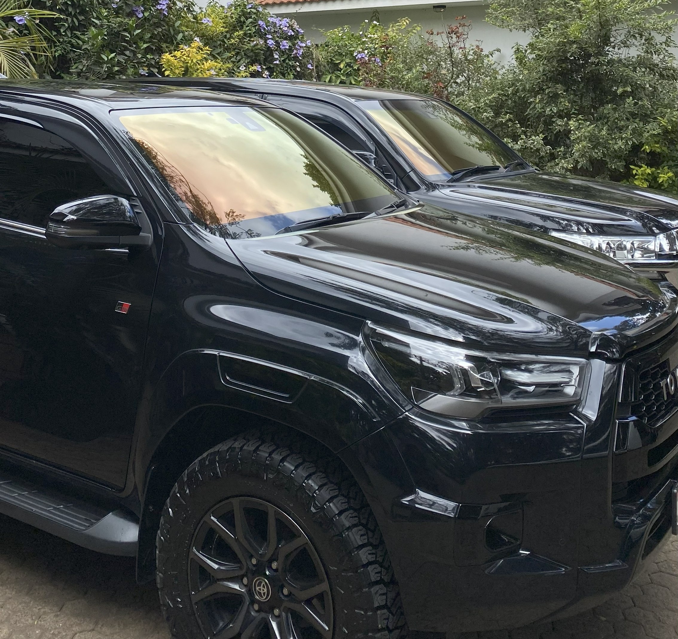 Premium Car Detailing Service